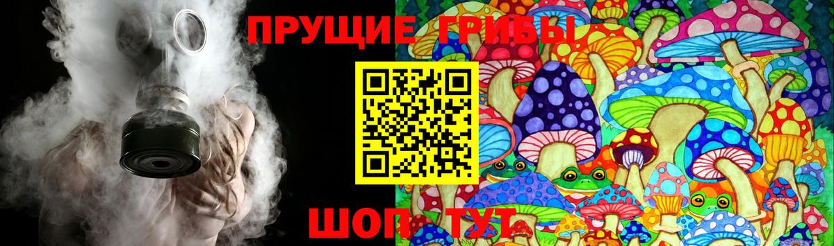 дарнет шоп  Псилоцибиновые грибы Psilocybine cubensis  Вход с VPN  Люберцы 